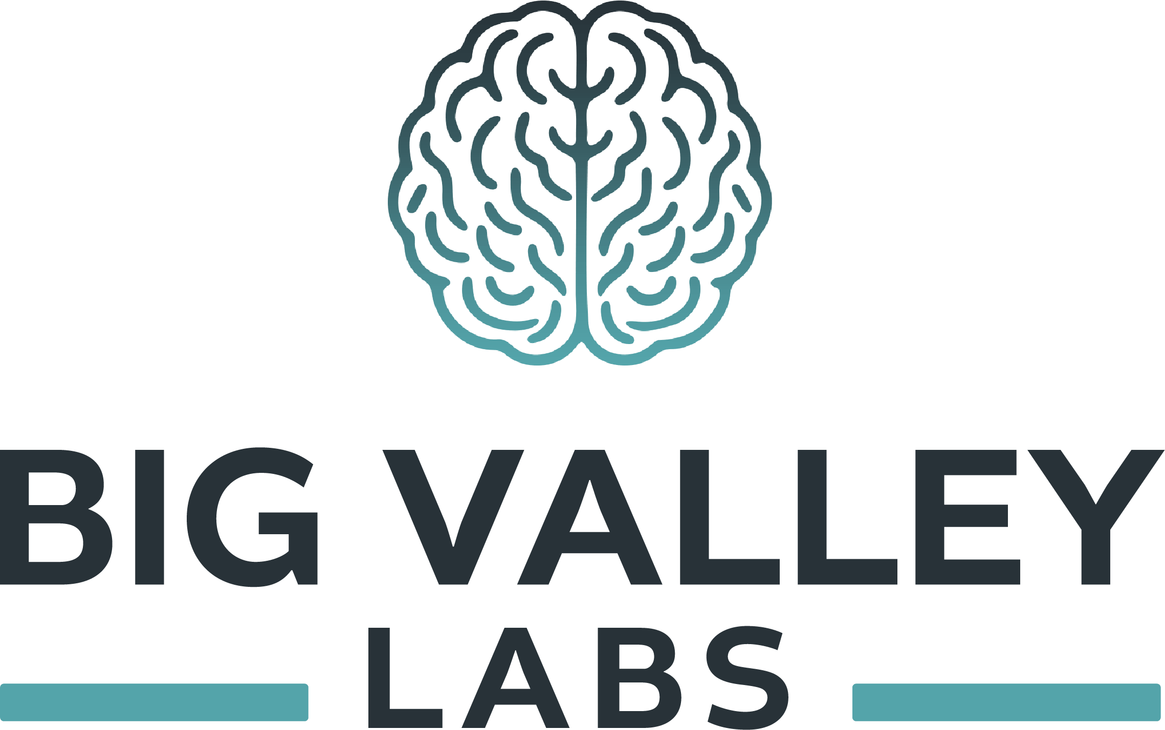 Big Valley Labs