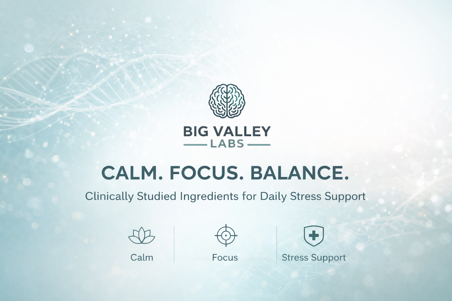 Advanced Stress Support: Ingredients, Benefits, How It Works, and How to Choose a Calm-and-Clarity Formula